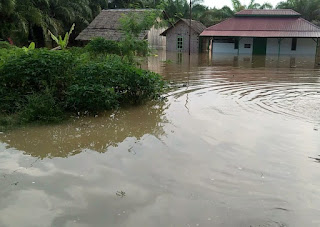 Puluhan Rumah Warga Dusun VIII Desa Simpang Gambus Terendam Banjir.