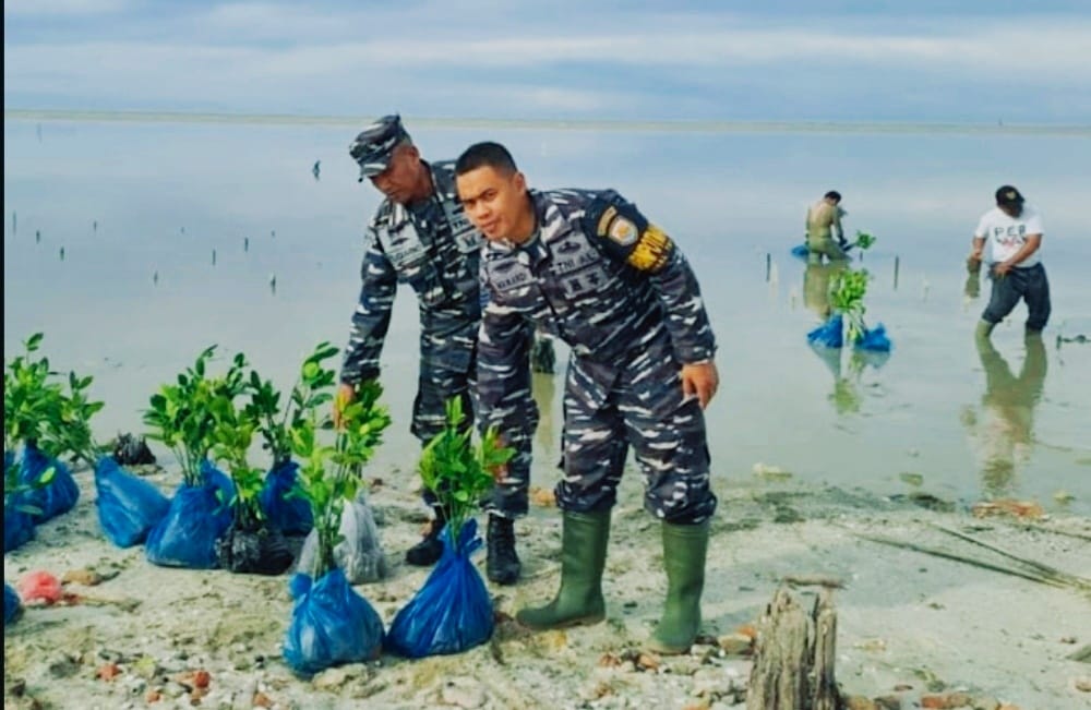 TNI AL Tanam 2000 Batang Mangrove Di Bibir Pantai Bandar Rahmat
