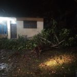 Empat Rumah Warga di Pijay Rusak Akibat Hujan Dan Angin Kencang, Polisi Turun Ke Lokasi