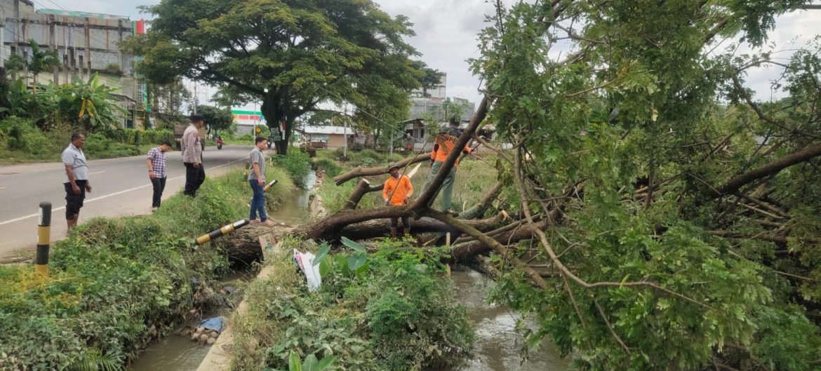 TNI-Polri serta BPBD Bersama Bersihkan Pohon Tumbang di Bandar Dua